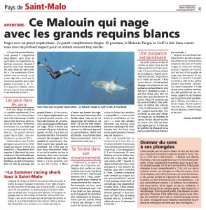 article requin