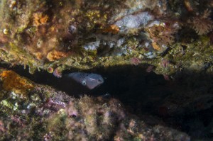 DSC_6682
