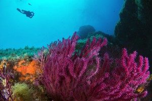 DSC_6747(2)